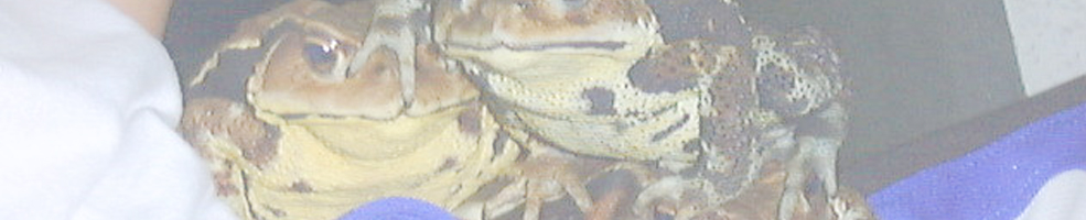 半田市野外活動センター