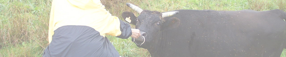 面ノ木園地～天狗棚