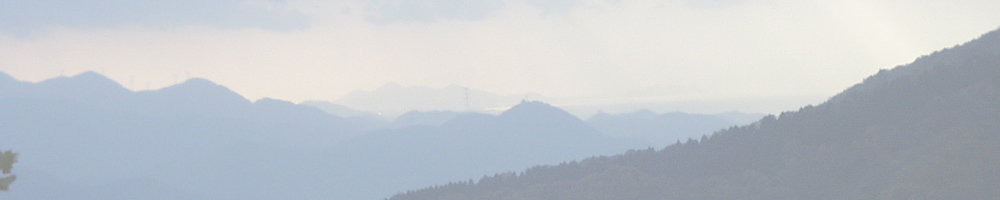 関ヶ原明神の森