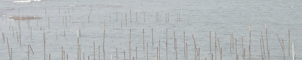 南知多一周単独サイクリング