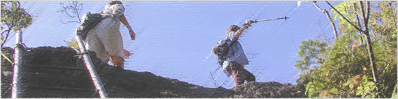 明神山（三ツ瀬～）