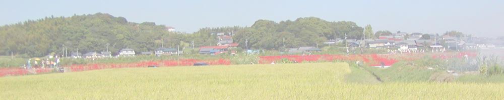 南吉メルヘンロード