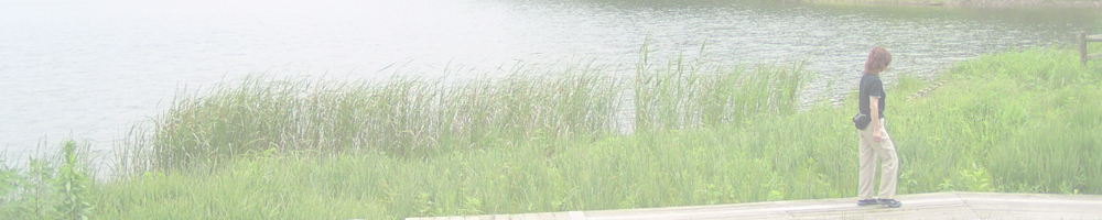 武豊自然公園～別曽池公園