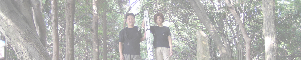 海上の森と物見山