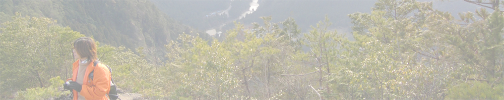 愛知県民の森Vol.3～南尾根展望台