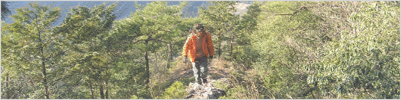 愛知県民の森Vol.4～門6号