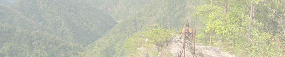 愛知県民の森Vol.7～宇連山