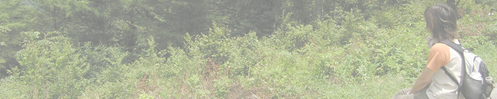 裏谷～寧比曽岳