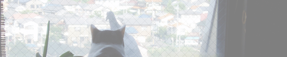 阿久比史跡巡り