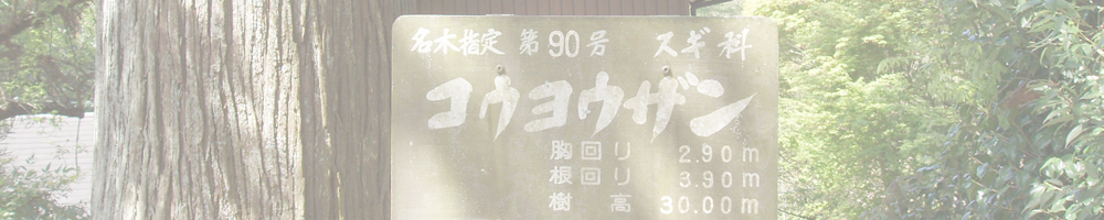 晴暗寺のコウヨウザン