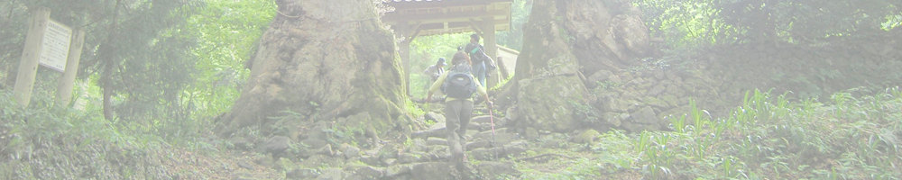 呉枯ノ峰と菅山寺