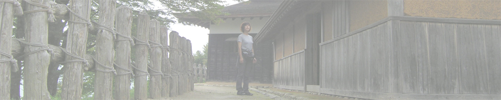 真弓山(足助城)