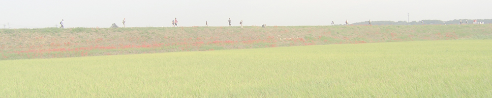 メルヘンロード彼岸花