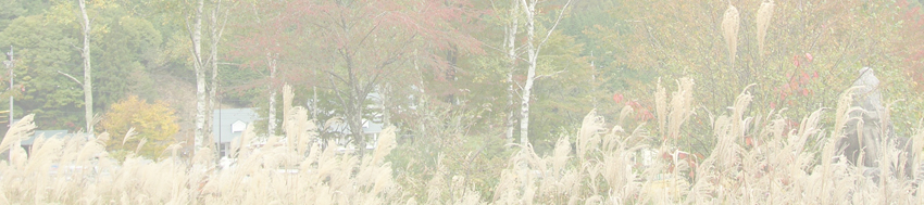 池ノ平の亀甲石