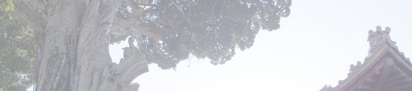 摂取院のイブキ