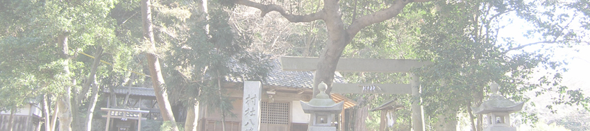 八幡神社の杉