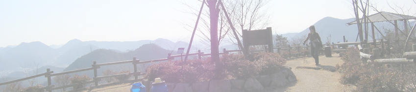 百々ガ峰～権現山