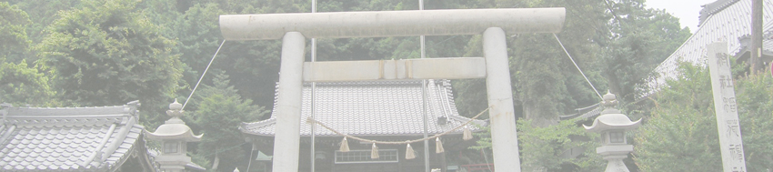 稲荷神社のイチイガシ