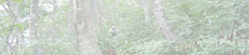 ブンゲン山（射能山）-撤収-