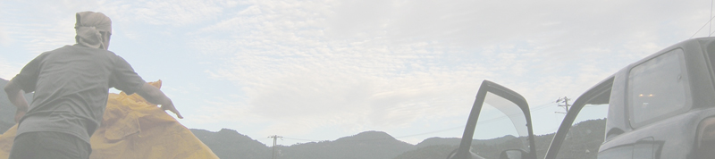 浅里飛雪の滝キャンプ場