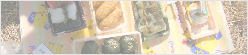 ヒヨ山～亥谷山