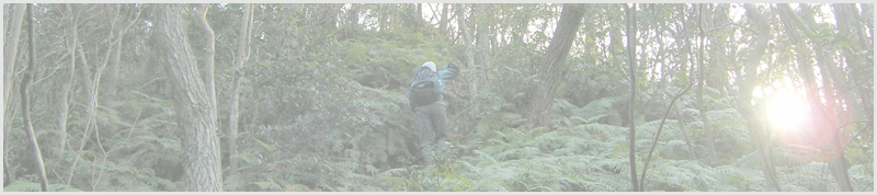 鬼ヶ牙～長坂ノ頭～臼杵山