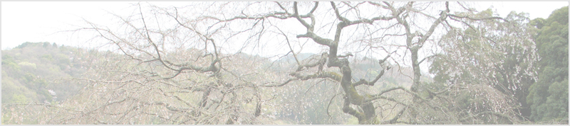 奥山田のしだれ桜