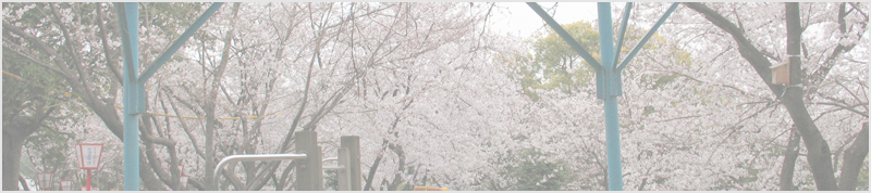 乙川白山公園の桜