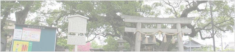 村上社のクスノキ