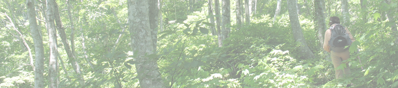 丁子山～湧谷山