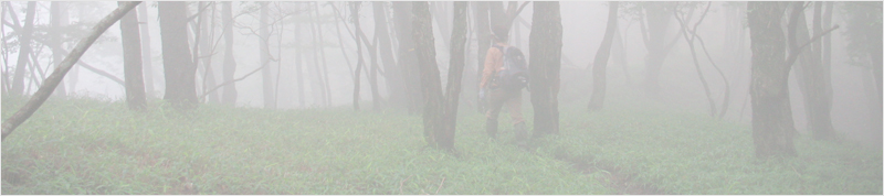 高見峠南峰～雲ガ瀬山～ハンシ山～伊勢辻山～赤ゾレ山～国見山