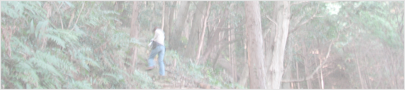 山神様・マラ山(ミス)