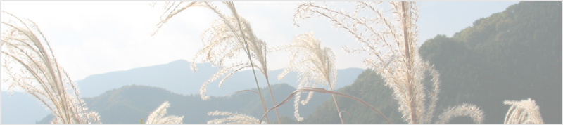 高鉢山～高鉢山西峯