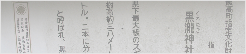 黒瀧神社の夫婦杉