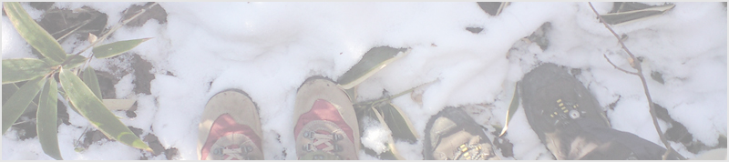 南岳～瓢ヶ岳～奥瓢ヶ岳