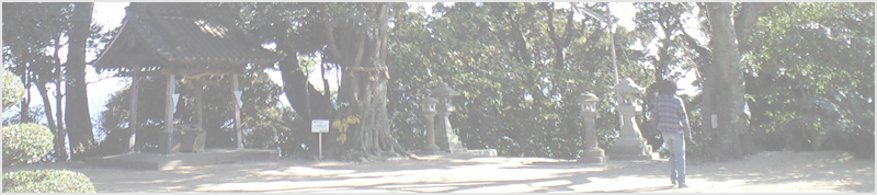 稲村神社のしい