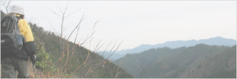 汾陽寺山～権現山