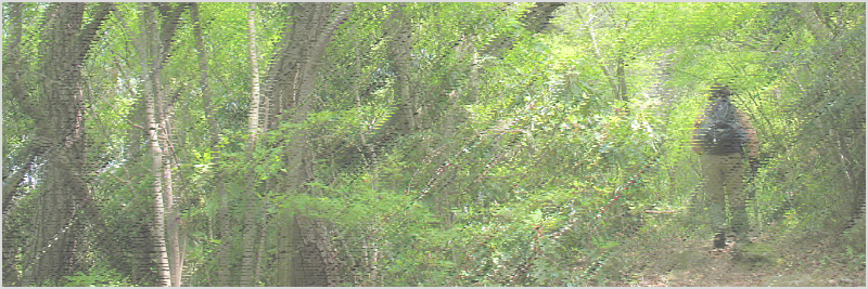 岩阿沙利山～岳山