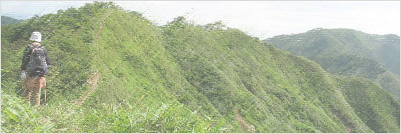 水後山～鎌ヶ峰～ 大日ヶ岳