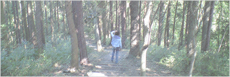 豊田自然観察の森