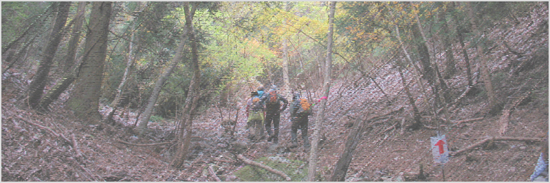 阿曽浅間山～網掛山