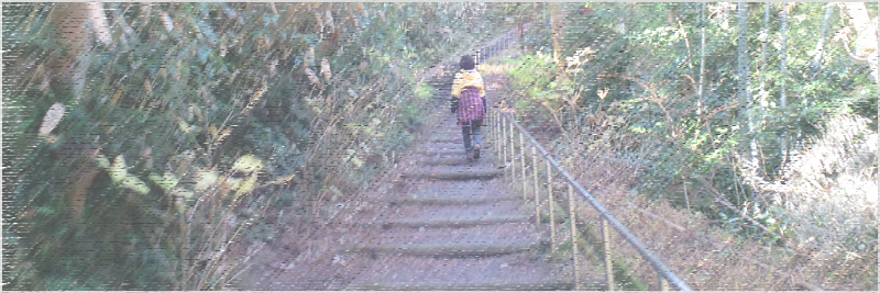 城台山～城ヶ峰