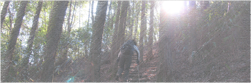 芋穴所のマルガシ