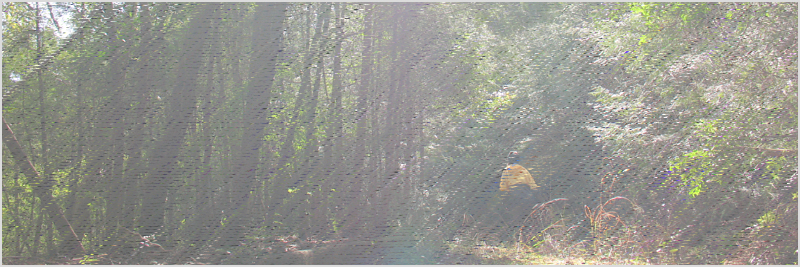 南海展望台-断念