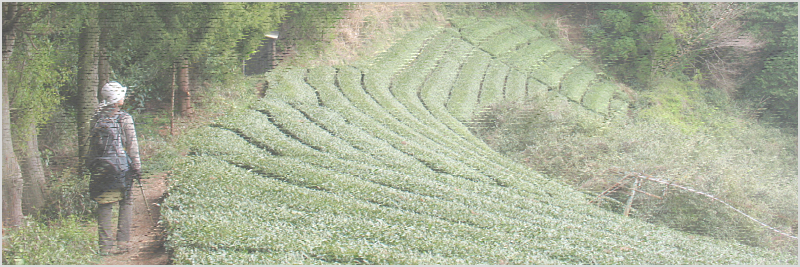 花沢山～満観峰～丸子富士