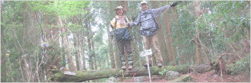 高チラ山～鷲ノ巣山～鵯山