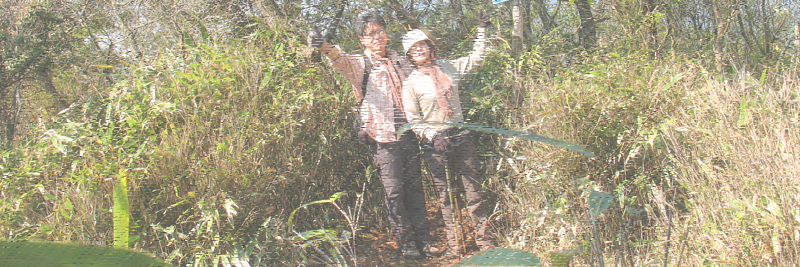 霧ヶ岳～四方草山