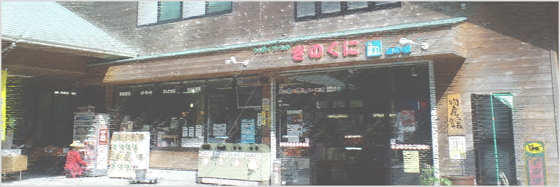 道の駅・熊野きのくに