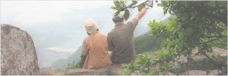 烏帽子岩～大蛇峰