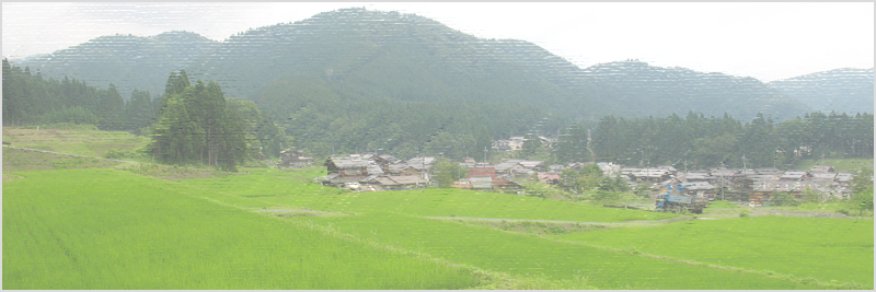 雲洞谷山-撤収-